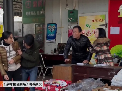 乡村栏目剧场20230411 绿萝花开