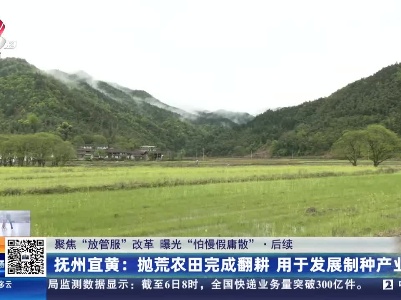 都市现场20230406