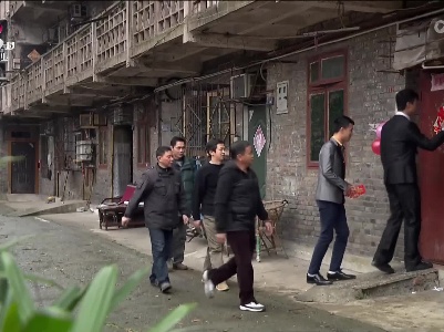 乡村栏目剧场20230411 绿萝花开