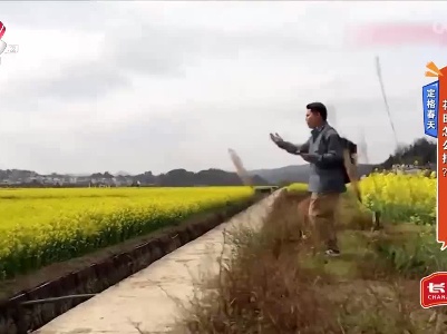 地宝当家20230424