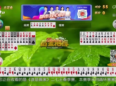 谁是赢家20230419