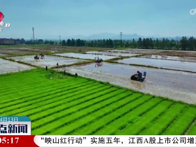 整点新闻20230413 14:00
