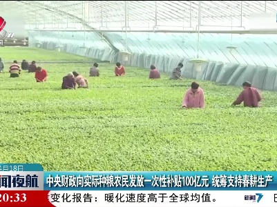 中央财政向实际种粮农民发放一次性补贴100亿元 统筹支持春耕生产