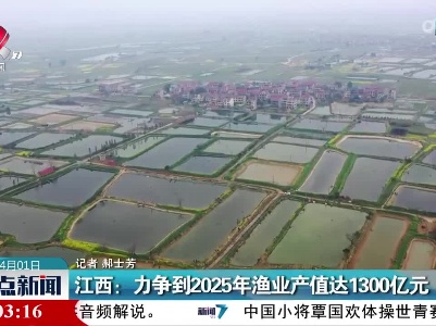 整点新闻20230401 16:00
