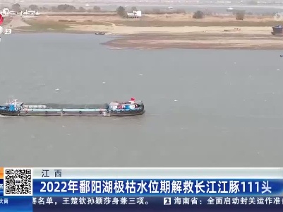 江西：2022年鄱阳湖极枯水位期解救长江江豚111头