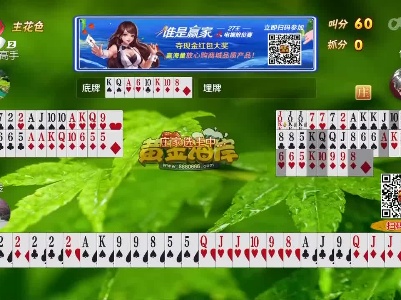 谁是赢家20230403