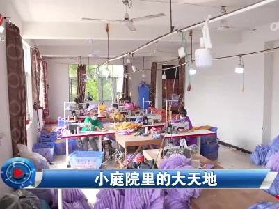 社会传真20230418 小庭院里的大天地