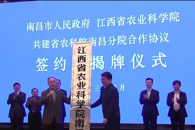 江西省农业科学院南昌分院揭牌