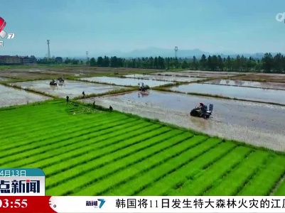整点新闻20230413 16:00