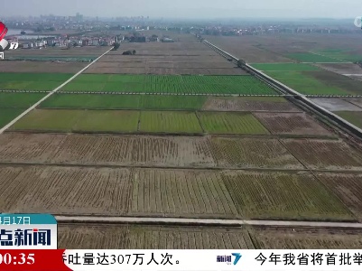 整点新闻20230417 16:00