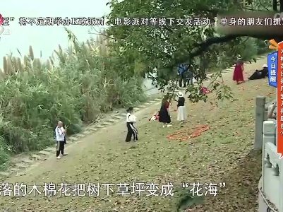 地宝当家20230417