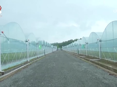 任珠峰在上饶调研