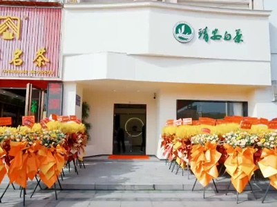 江西靖安白茶文化推广活动在南昌启动