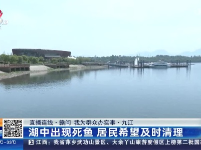 都市现场·午间版20230417