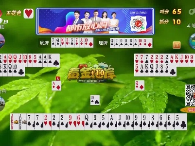 谁是赢家20230407