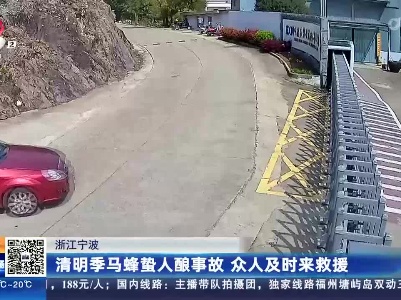 浙江宁波：清明季马蜂蜇人酿事故 众人及时来救援