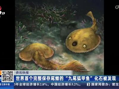 世界首个完整保存尾鳍的“九尾狐甲鱼”化石被发现