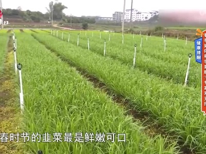 地宝当家20230403