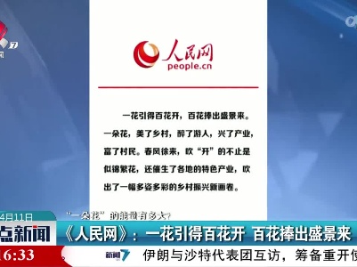 【“一朵花”的能量有多大？】《人民网》：一花引得百花开 百花捧出盛景来