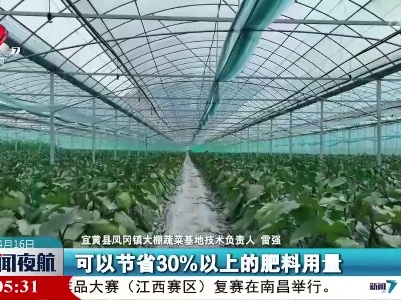 【“绿色”耕种】科技种菜 绿色畅销