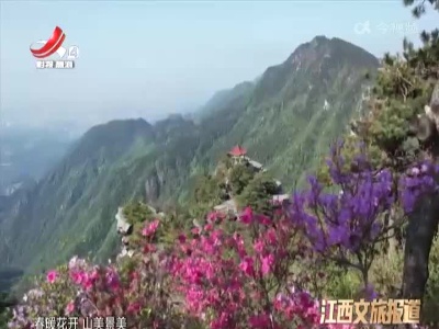 九江庐山：山花烂漫杜鹃红