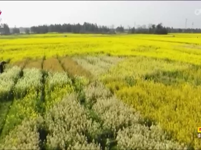 新闻晚高峰20230401