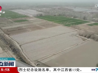 我国棉花主产区拉开春播序幕