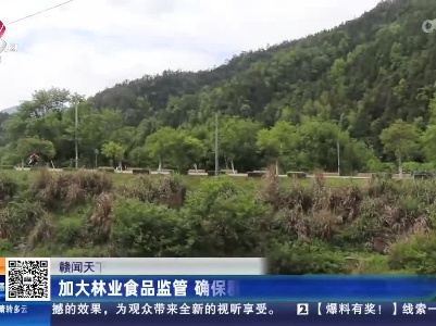 【赣闻天下】景德镇浮梁：加大林业食品监管 确保群众“舌尖”上的安全