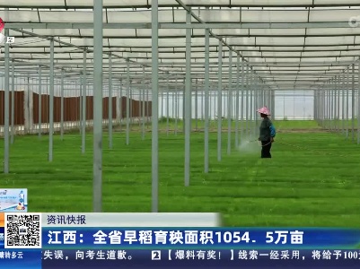 江西：全省早稻育秧面积1054.5万亩
