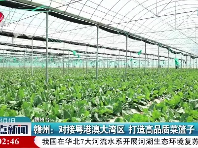 赣州：对接粤港澳大湾区 打造高品质菜篮子