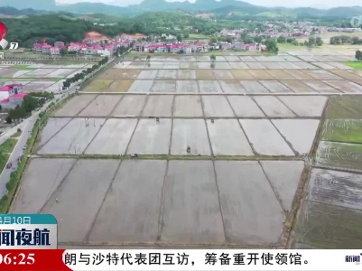 我省早稻育秧面积已达到1054.5万亩