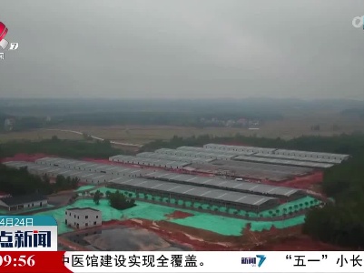 我省一季度畜牧业生产稳中向好