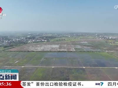 整点新闻20230411 10:00