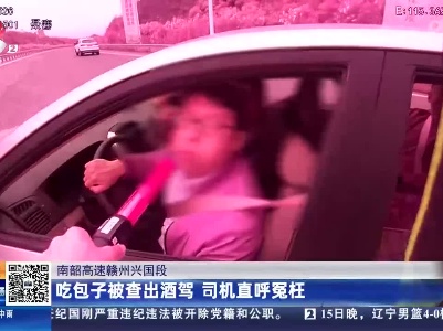 南韶高速赣州兴国段：吃包子被查出酒驾 司机直呼冤枉