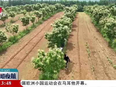 又到赏花季！有“颜值”更有“价值”