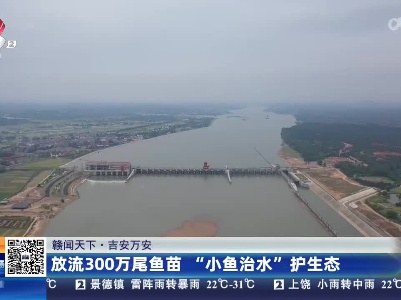 都市现场·午间版20230504