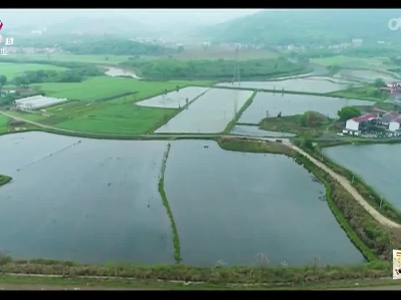 新闻晚高峰20230507