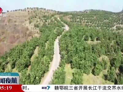 新闻夜航20230531