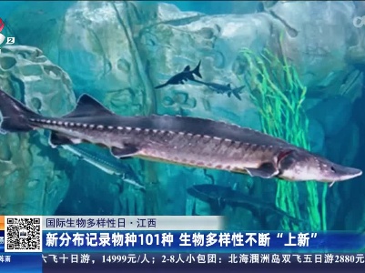 【国际生物多样性日】江西：新分布记录物种101种 生物多样性不断“上新”