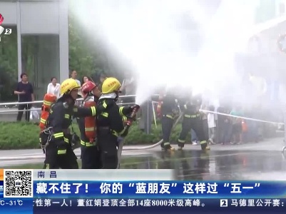 南昌：藏不住了！你的“蓝朋友”这样过“五一”