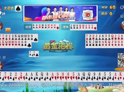 谁是赢家20230505