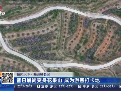 【赣闻天下】赣州赣县区：昔日崩岗变身花果山 成为游客打卡地