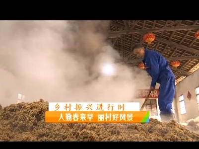 稻花香里20230213 乡村振兴进行时——人勤春来早 丽村好风景