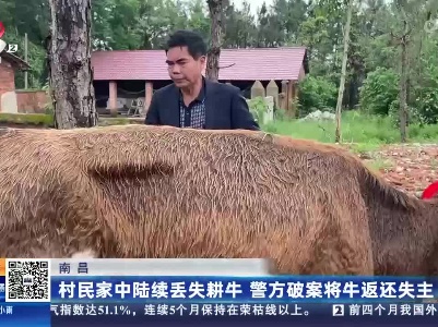 南昌：村民家中陆续丢失耕牛 警方破案将牛返还失主
