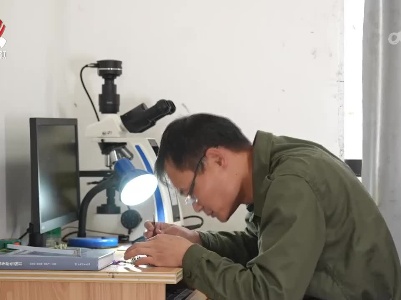 科研人员在九连山发现报春苣苔新物种