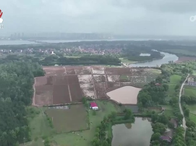 泰和县加快土地综合整治 提高耕地综合生产能力