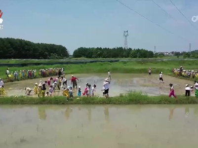 国际家庭日：传承好家风 凝聚家力量