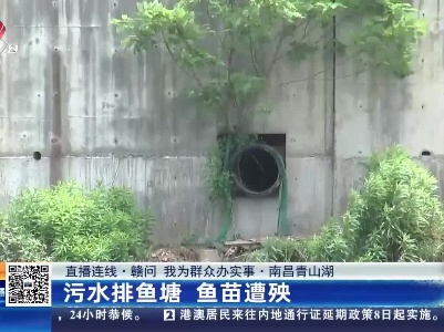 都市现场·午间版20230508