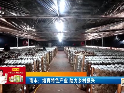南丰：培育特色产业 助力乡村振兴