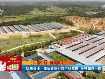新闻晚高峰20230525